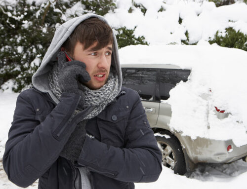 Etiam commodo convallis